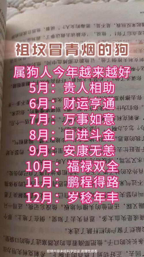 生肖屬狗2025年10月簽約最旺吉日老黃歷