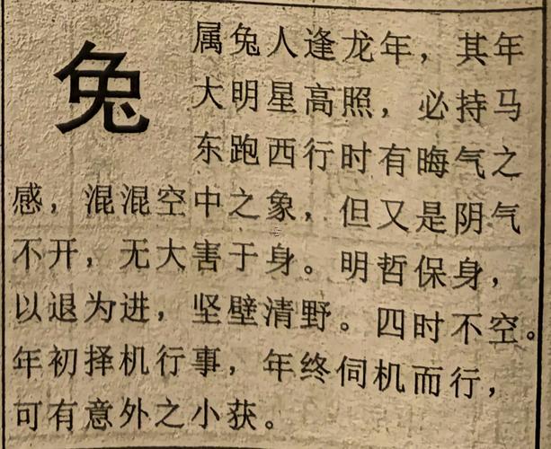 生肖屬兔2025年10月開火最旺吉日老黃歷