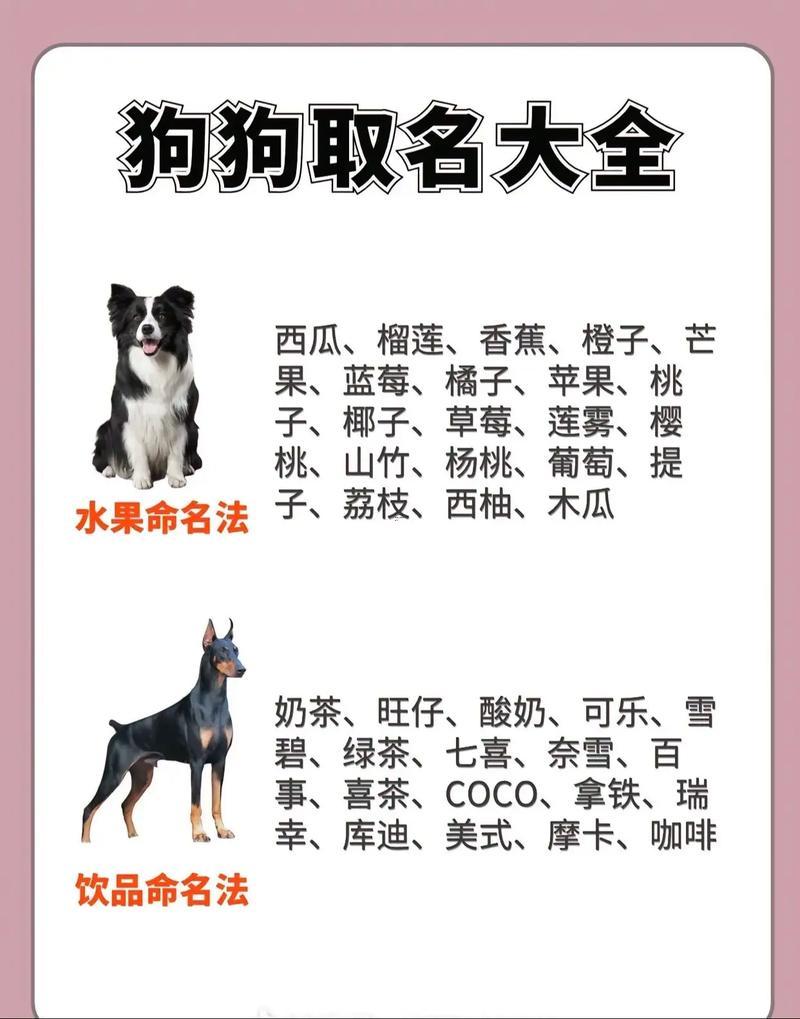 寵物狗名字大全