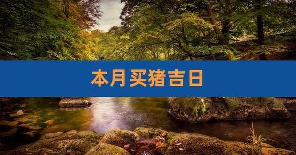 2026年6月份買豬吉日