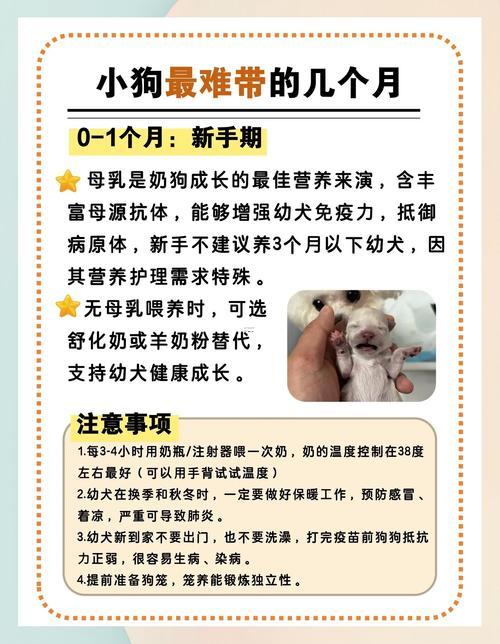 2026年12月買狗吉日